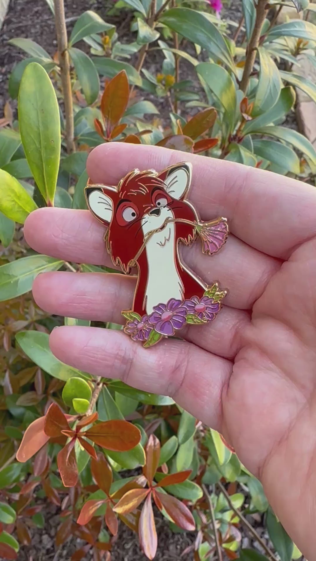 Tod with flower A Grade