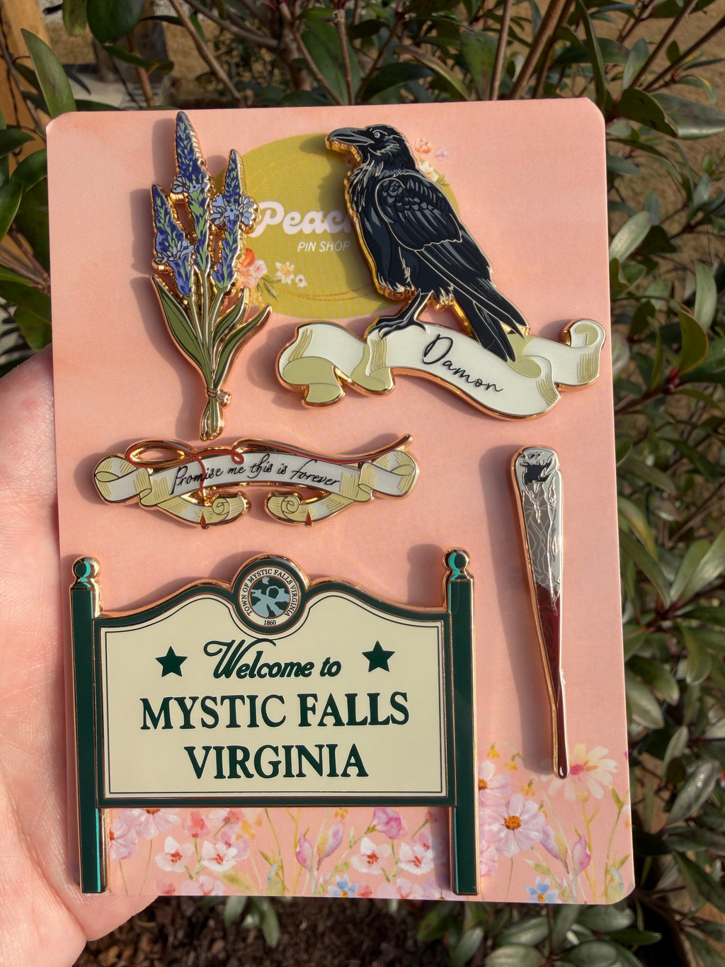 The Vampire Diaries Pin Set/Individuals