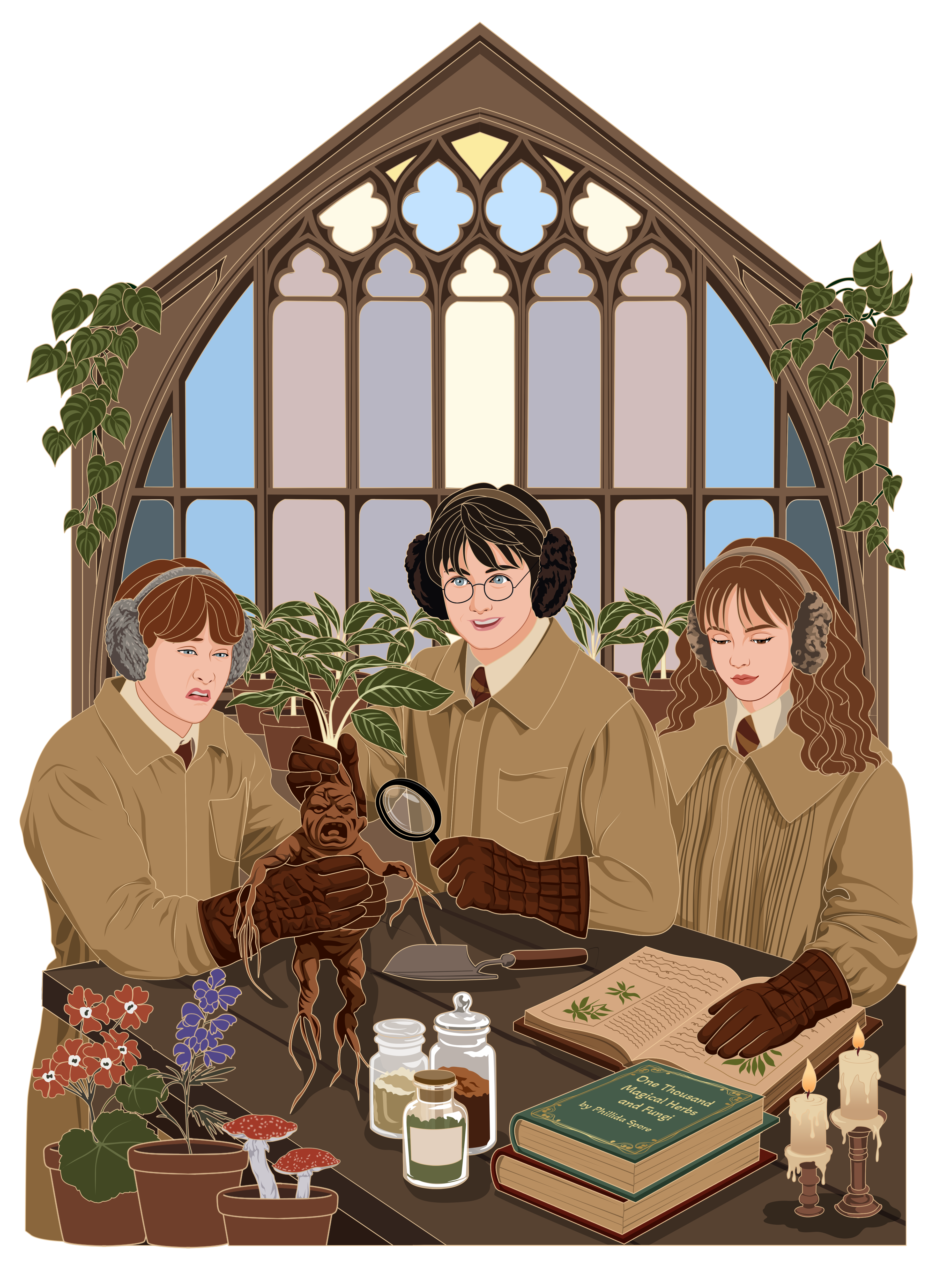 Harry Potter golden trio Botany presale