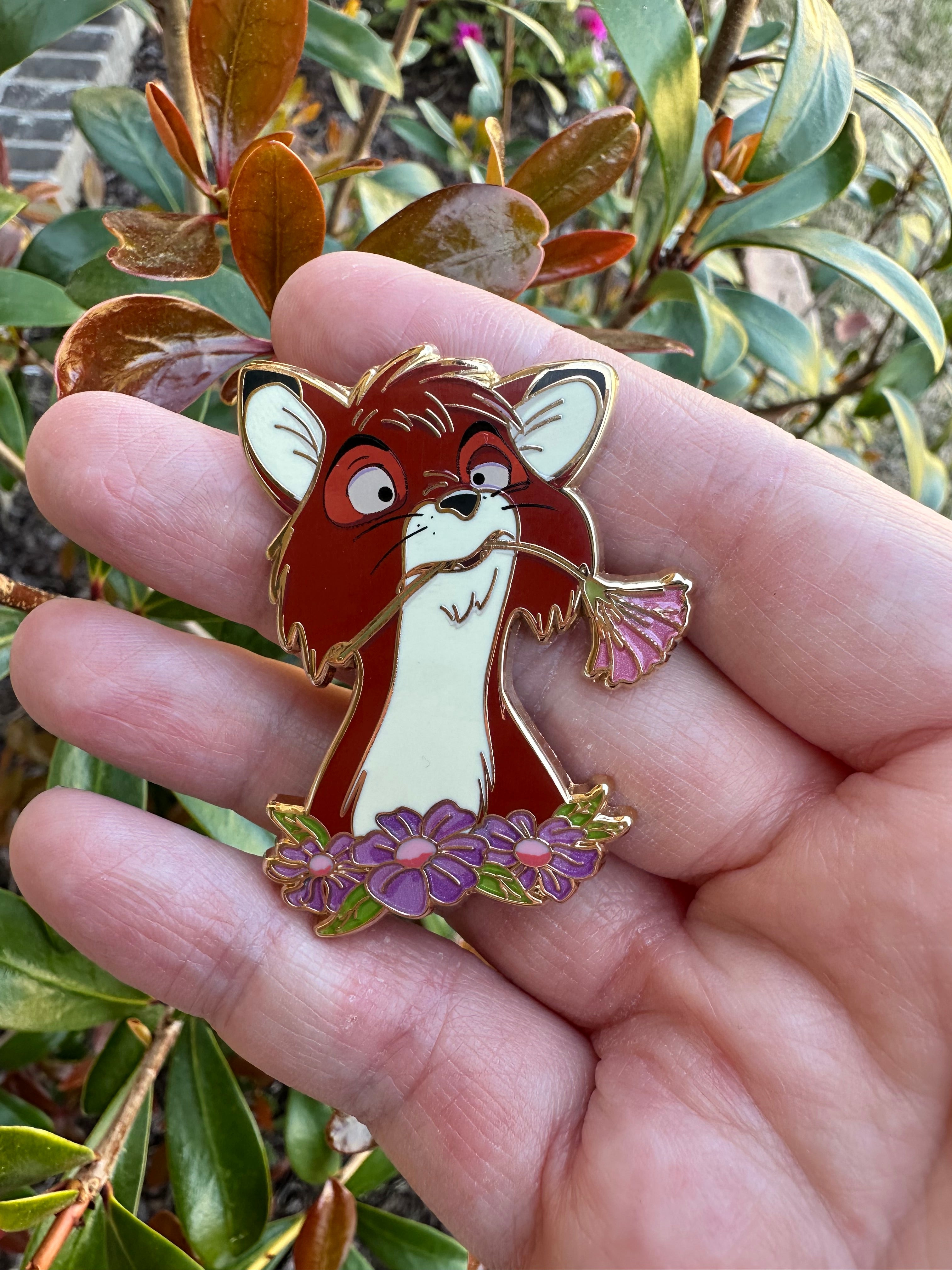 Tod with flower A Grade