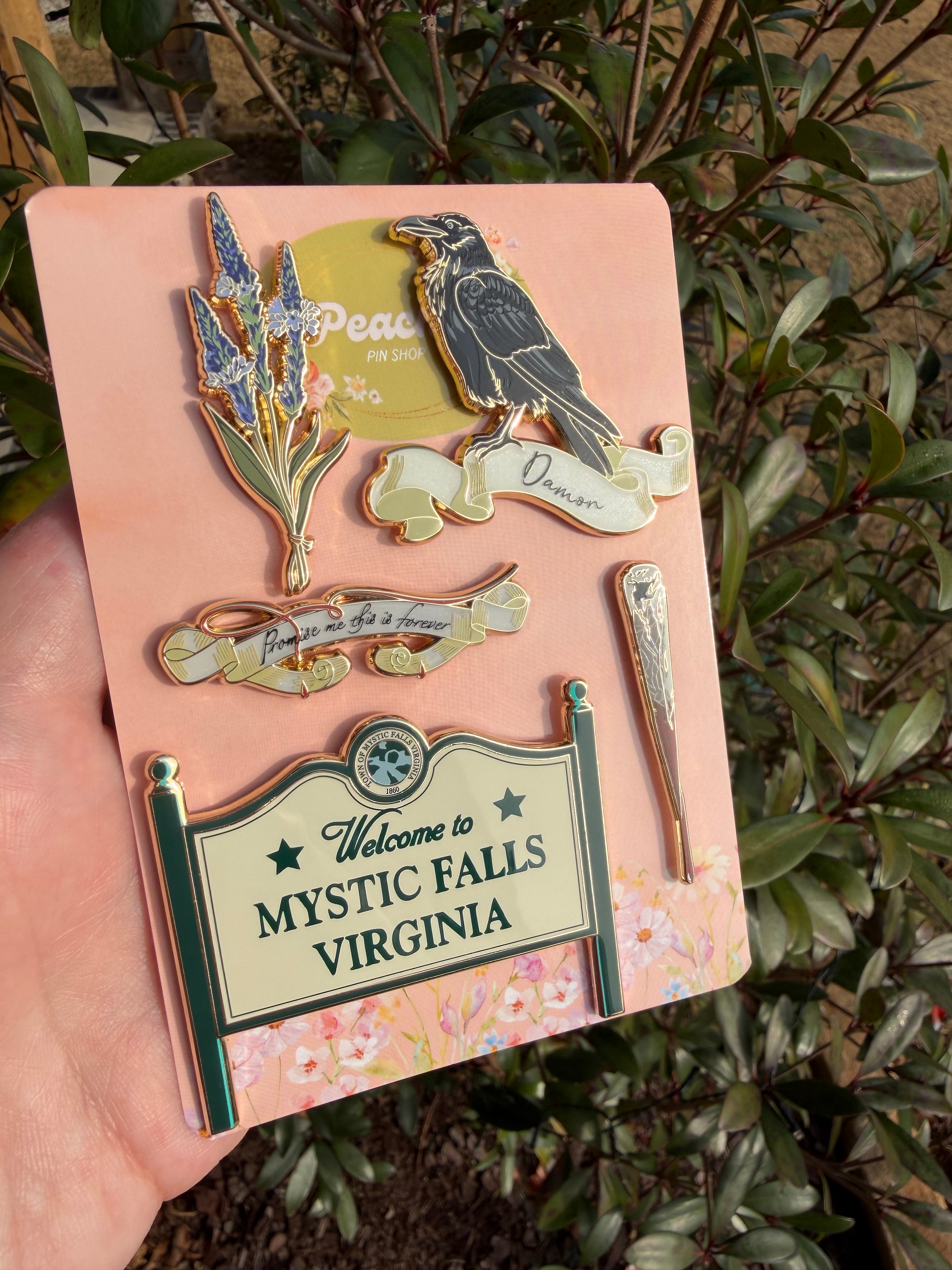 The Vampire Diaries Pin Set/Individuals