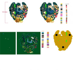 HMC Howl & Sophie Presale